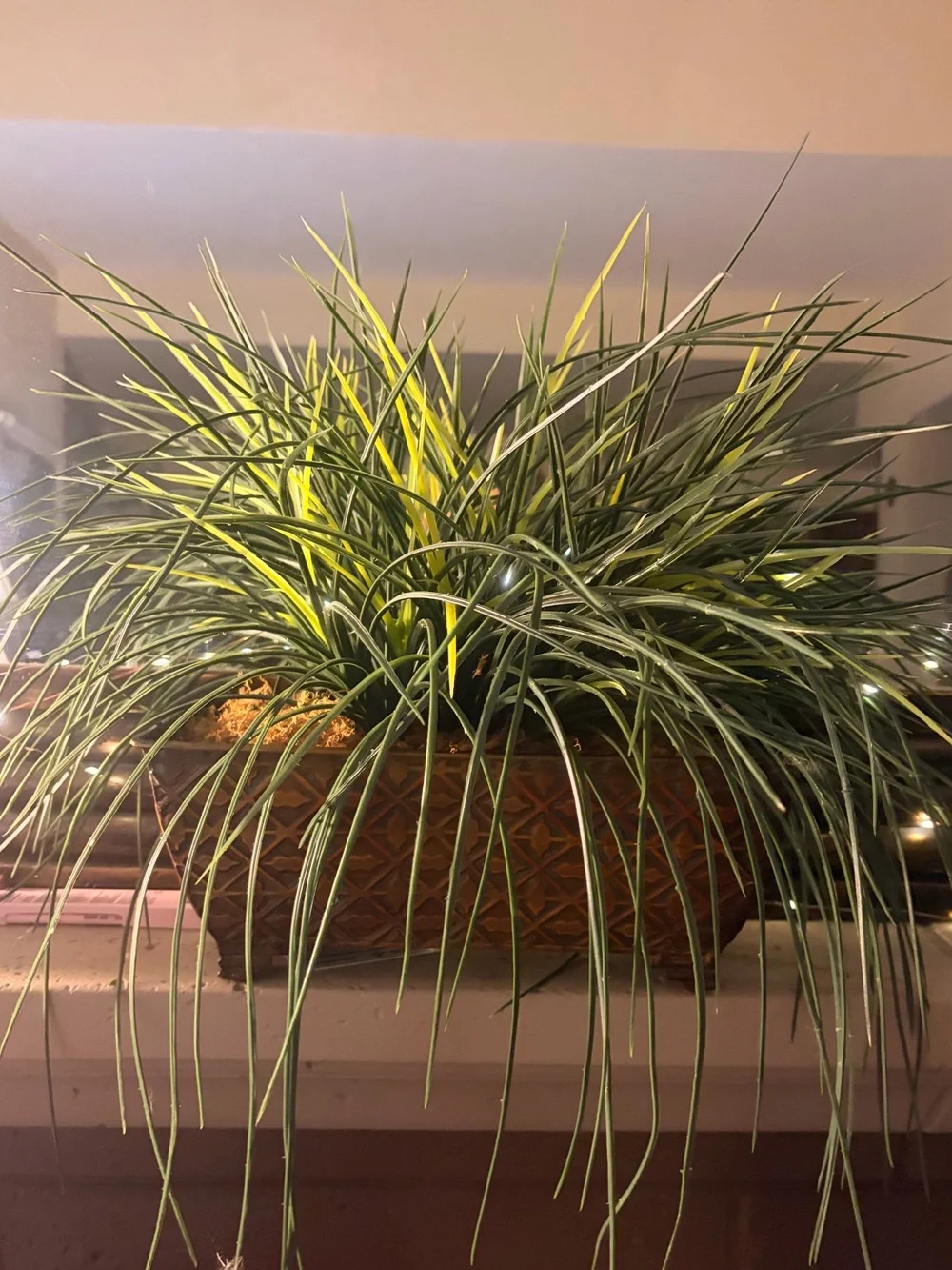 🍃Decorative Green and Yellow Grass Planter